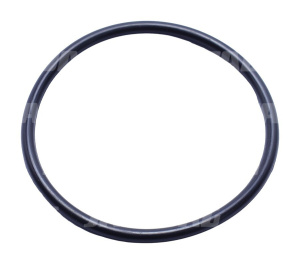239116 Oring JAG