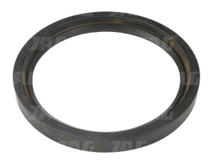 100x120x12 Uszczelniacz