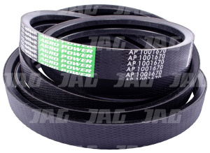 AP1001670 Pas Optibelt Agro Power