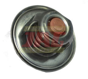 162000060701 Termostat