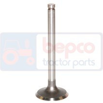 736812M1 Zawór ssący +0.003=0.076mm