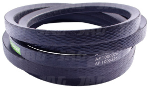 AP1000326 Pas Optibelt Agro Power