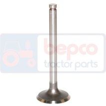 736812M1 Zawór ssący +0.003=0.076mm