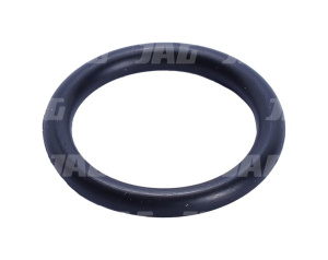 766548 Oring JAG