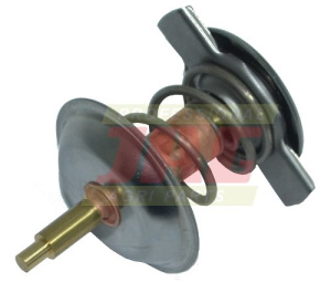 04204796 Termostat