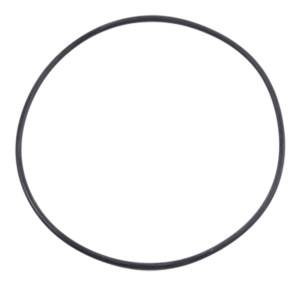 110x2.5 Oring