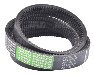 AP1001131 Pas Optibelt Agro Power