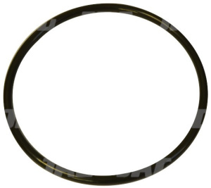 70x3.5 Oring