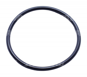 239116 Oring JAG