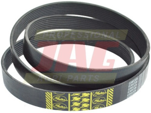 0385306 Pas wielorowkowy GATES AGRI, CLAAS 0007801600 0007984980