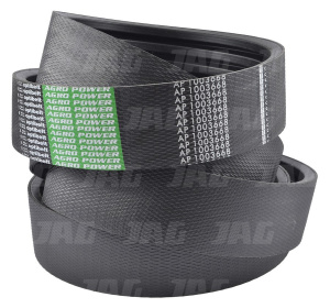 AP1003668 Pas Optibelt Agro Power
