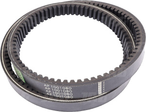 AP1001080 Pas Optibelt Agro Power