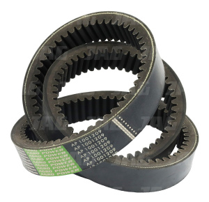 AP1001209 Pas Optibelt Agro Power, CLAAS 6297560 629756.0