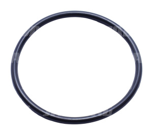 239116 Oring JAG