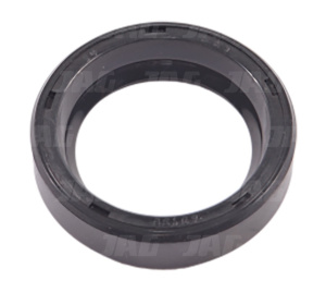 40135 Uszczelniacz SKT, MASSEY FERGUSON 195501M1 CORTECO 19032635B