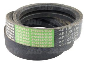AP1001550 Pas Optibelt Agro Power