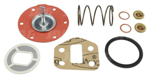 3641855M91 Zestaw naprawczy pompki zasilającej