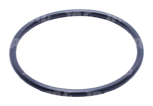 751004 Oring JAG