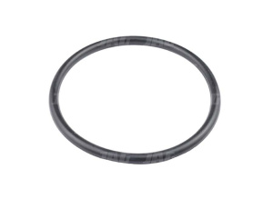 751003 Oring JAG