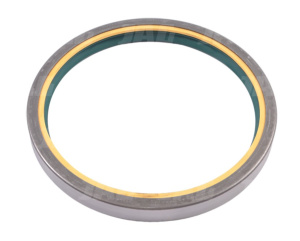 420069-NK Uszczelniacz SKT, CARRARO 30199660X1 MASSEY FERGUSON 3019960